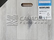 Luxury Vinyl Flooring, Aqua Plus Silver Plus, NAF, 6.0 mm, Color:  Moonflower

                                 Vinyl Flooring Sherbrooke