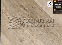 Luxury Vinyl Flooring, Floorway, 8.0 mm, Color: Norma - SG 806

                                 Vinyl Flooring Burlington