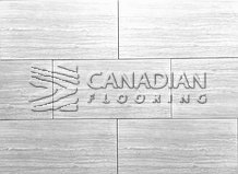 Matte Porcelain, 12x24, Color:  Escarpment Silver

                                 Porcelain & Ceramic Tiles