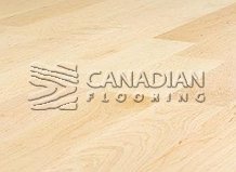 Solid Hard Maple, Panache, 3-1/4", Color: Natural

                                 Hardwood Flooring Halton Hills