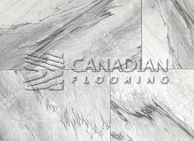 Polished Porcelain, 12x24, Color:  Arabascato

                                 Porcelain & Ceramic Tiles