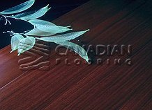 Solid Brazilan Cherry (Jatoba), SUNCA,  3-1/4" x 3/4",  Color:  Royal

                                 Hardwood Flooring Ajax