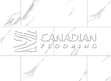 Luxury Vinyl Flooring, Fuzion, 8.3 mm, Color: Moon Glow

                                 Vinyl Flooring White Rock