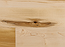 Solid Hard Maple, Superior Flooring, 3-1/4", Select Color:  Natural